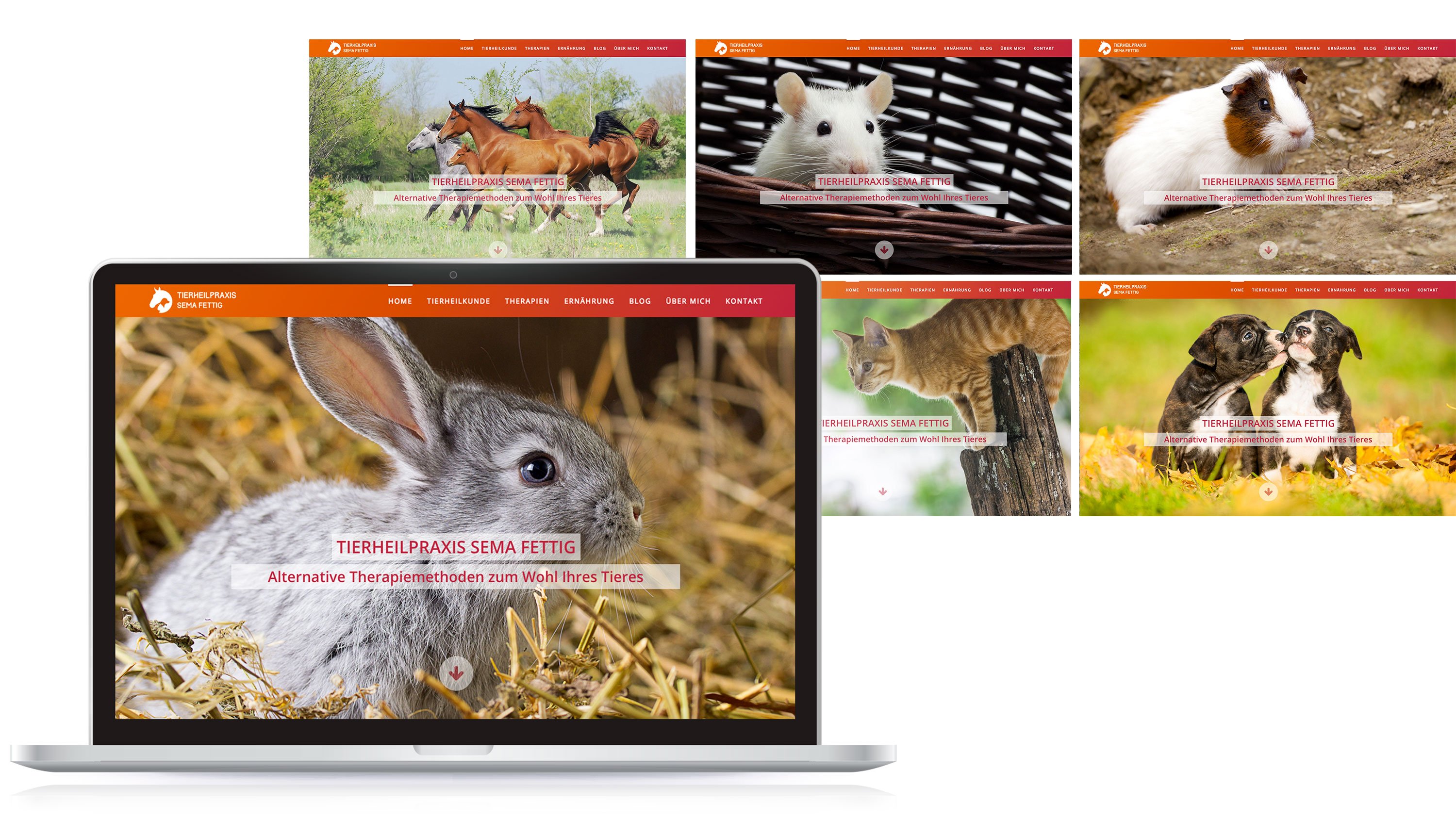 Webdesign, Homepage for veterinary practice Sema Fettig: DIE NEUDENKER® Agency, Darmstadt
